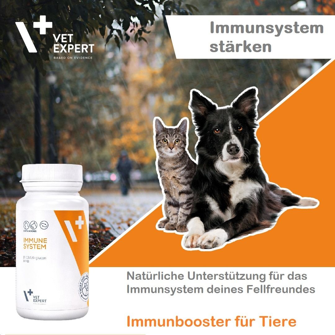 Stärkung des Immunsystems von Hunden und Katzen