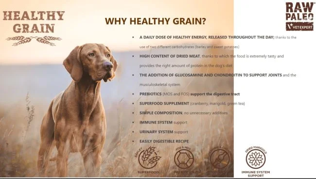 Raw Paleo Healthy Grain 5