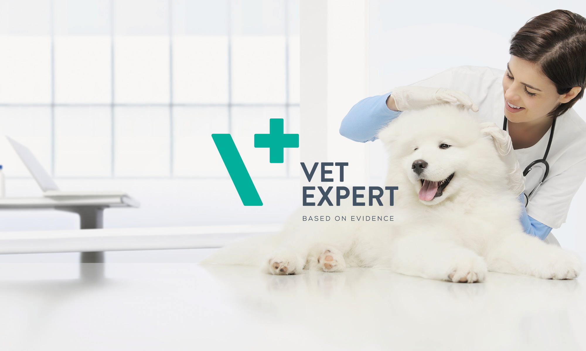 VetExpert Östereich Tierarztprodukten Portofolio Tierbedarf Hundefutter