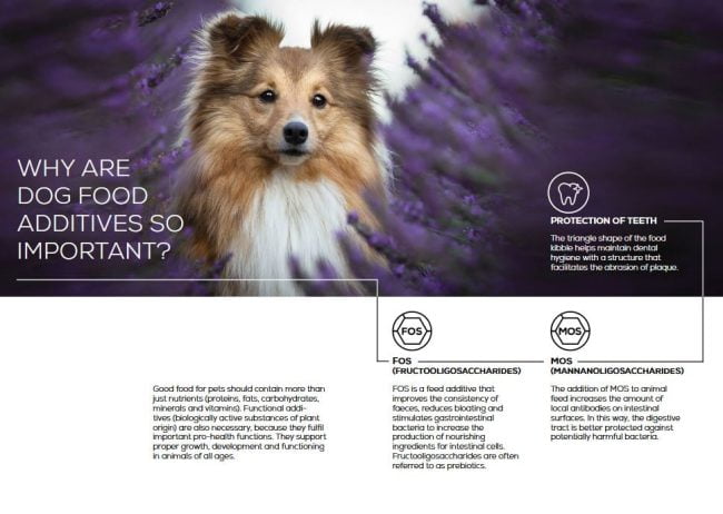 VetExpert Raw Paleo Puppy Mini Breed Premium getreidefreies Hundefutter, Alleinfuttermittel, Trockenfutter, Nassfutter, Hundebedarf, Hundenahrung, Hundeernährung