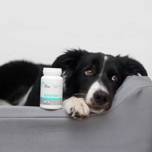 VETEXPERT KalmVET Tiergesundheit Österreich Beruhigungsmittel für Hunde