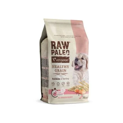 raw-paleo-healthy-grain-puppy-salmon